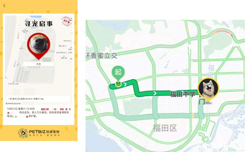 浪潮产品奖 陪彼宠物定位器，为爱宠安全护航的智能伴侣