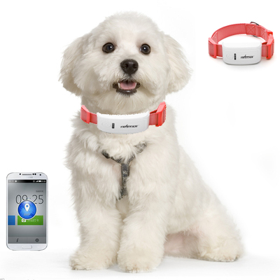 正品保障与精准选购 微型汽车配件网与宠物定位器购物评测