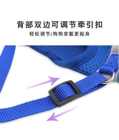 汤河店新款宠物胸背带 融合安全、舒适与科技的爱宠出行方案