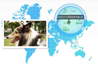 为爱宠添一份安心 有必要给狗狗购买宠物定位器吗？