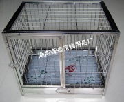 捕捉每一个精确瞬间——湖南森森宠物用品厂产品相册一览