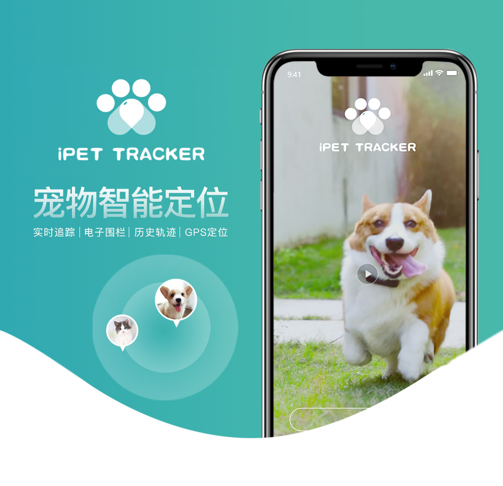 智能宠物用品APP软件定制开发服务